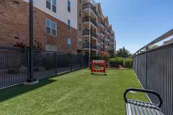 Grassy area of a courtyard